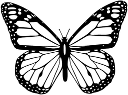 Butterfly Icon